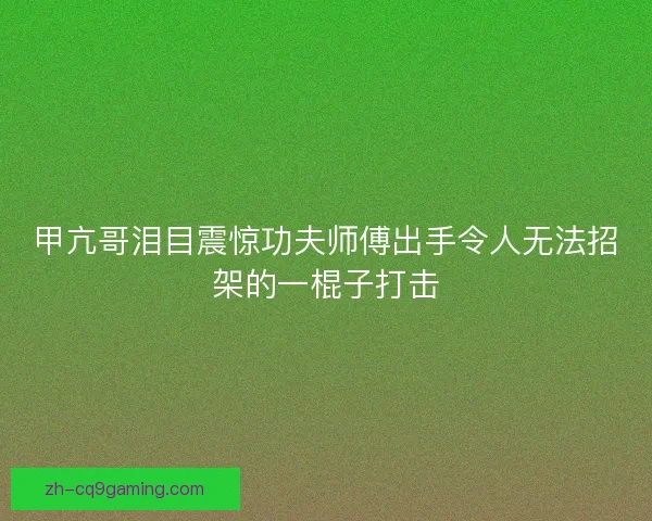 甲亢哥泪目震惊功夫师傅出手令人无法招架的一棍子打击