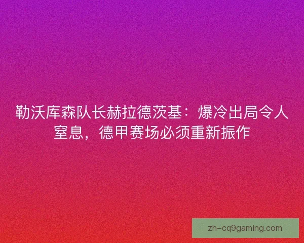 勒沃库森队长赫拉德茨基：爆冷出局令人窒息，德甲赛场必须重新振作